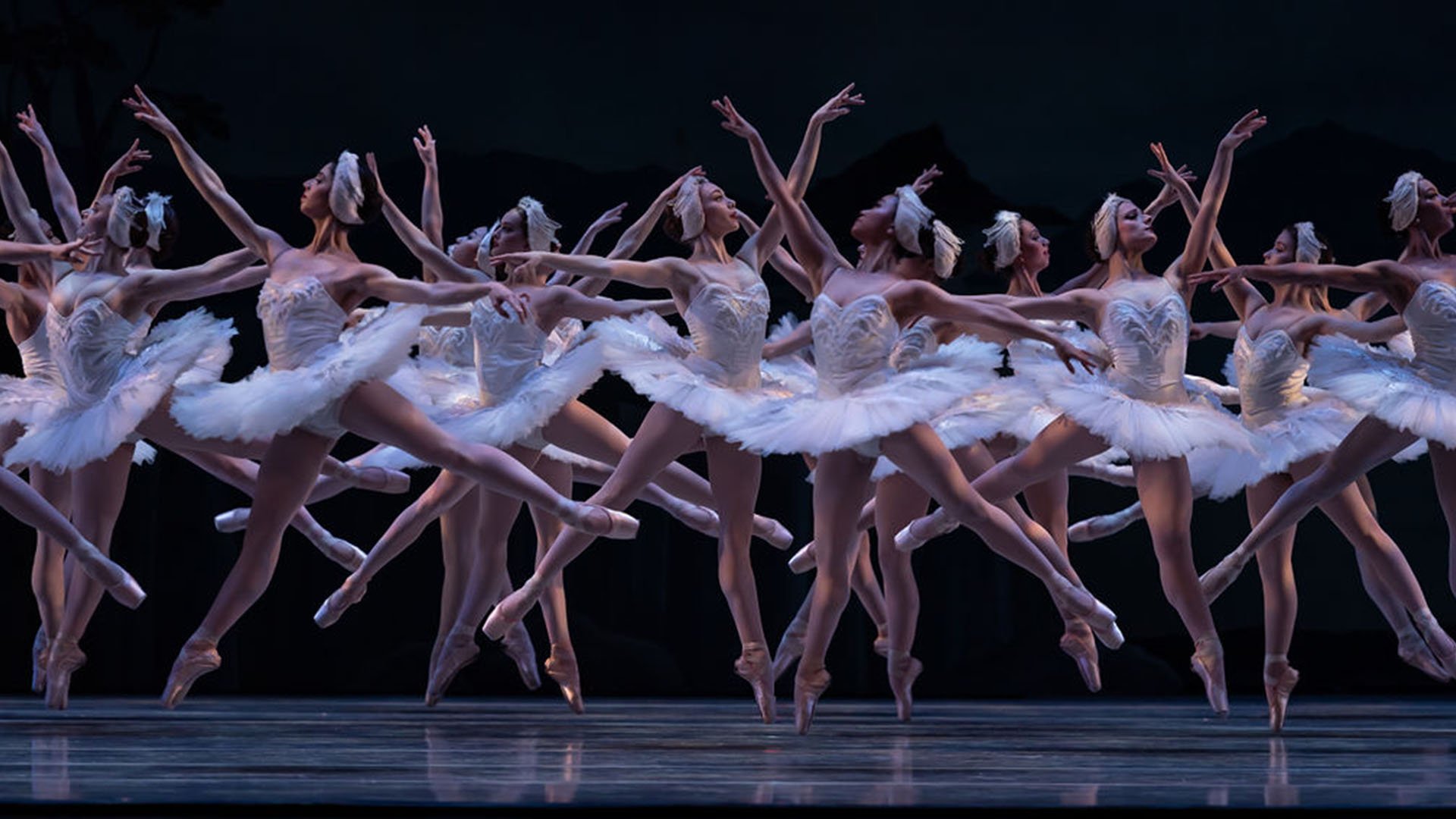 Cincinnati Ballet ballerinas horizontal Cincinnati Ballet ballerinas horizontal